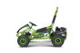 Beneo Motors BUGGY RSX