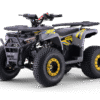 QUAD ATV (All-Terrain Vehicle)