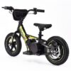 VELO ELECTRIQUE RIRIBIKE RTX3 24V
